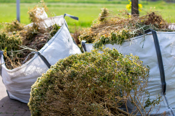 Best Yard Cleanup Services  in Lindon, UT